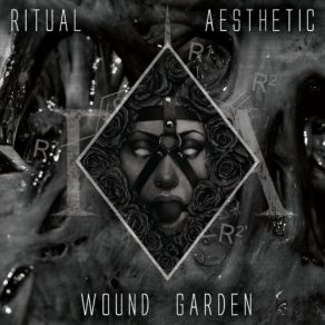 Download track Divided Ritual Aesthetic