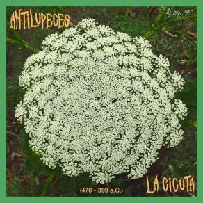 Download track Aifos Antilupeces