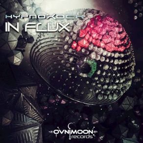 Download track In Flux Hypnoxock