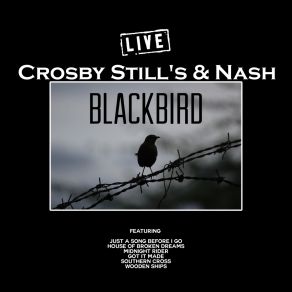 Download track To The Last Whale... (A. Critical Mass B. Wind On The Water) (Live) Crosby, Stills & Nash