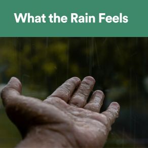 Download track Rain Can Be Light And Happy Rainforest Sounds