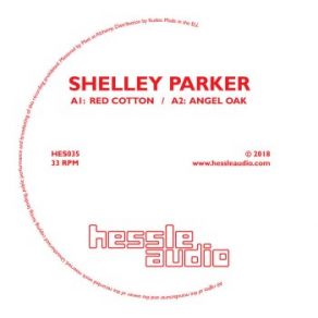 Download track Angel Oak (Ploy Remix) Shelley Parker