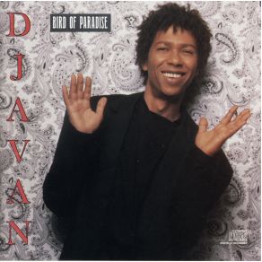 Download track Stephen'S Kingdom Djavan