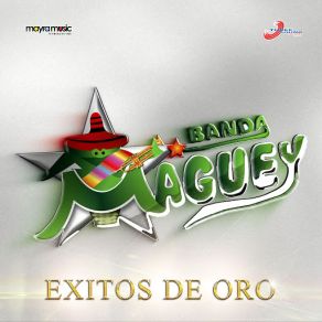 Download track De Nuevo Solo Banda Maguey