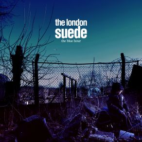 Download track Chalk Circles Suede