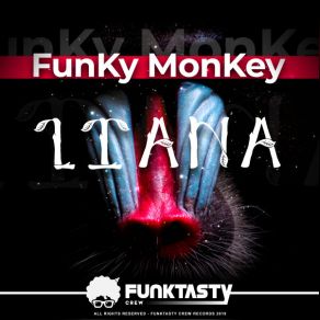 Download track Turn The Bass Funky Monkey (SP)