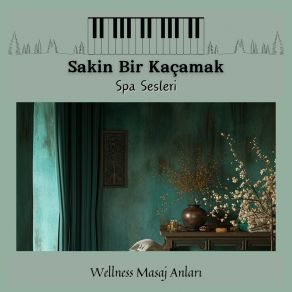 Download track Bedeninizi Sakinleştirin Spa