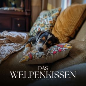 Download track Passing Deliberations Schlafende Musik Für Hunde