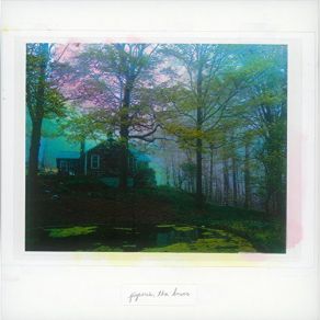 Download track Underneath The Maple Tree Pigeons