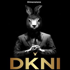 Download track Dimensions (Radio Edit) Dkni