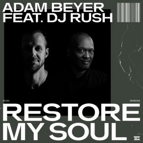 Download track Restore My Soul (DJ Rush Remix) Dj Rush