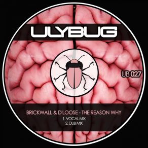 Download track The Reason Why (Dub Mix) D'Loose