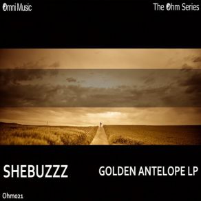 Download track Palus Nebularum (Original Mix) Shebuzzz