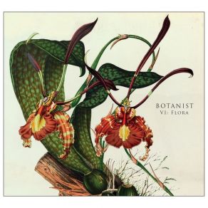 Download track Gleditsia The Botanist