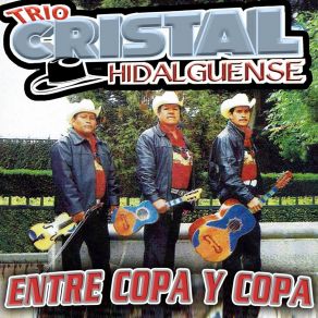 Download track No Soy Monedita De Oro Trío Cristal Hidalguense