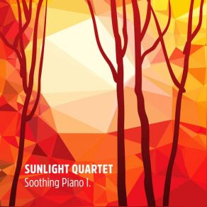 Download track Eleventh, In G Sunlight Quartet