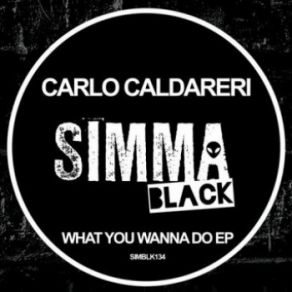 Download track What You Wanna Do (Original Mix) Carlo Caldareri