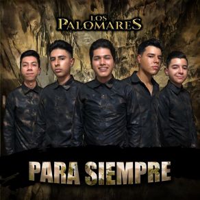 Download track De Los Besos Que Te Di Los Palomares