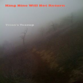 Download track Martian Marshes (Live) King Nine Will Not Return