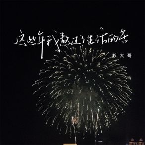 Download track 这些年我熬过了生活的苦 (伴奏) 衫大哥