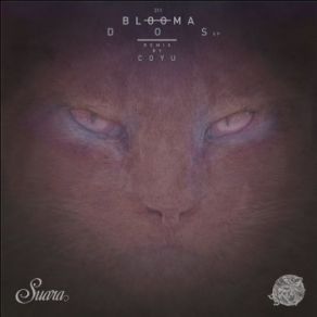 Download track Ksamil (Original Mix) Blooma