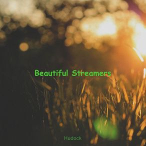 Download track Micromentary Hudock