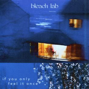 Download track Take It Slow Bleach Lab