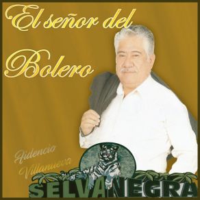 Download track Senda Perdida Fidencio Villanueva