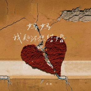 Download track 妈妈我真的不想结婚 (伴奏版) 小巴