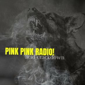 Download track Roller Coaster Pink Pink Radio!