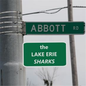 Download track Red The Lake Erie Sharks