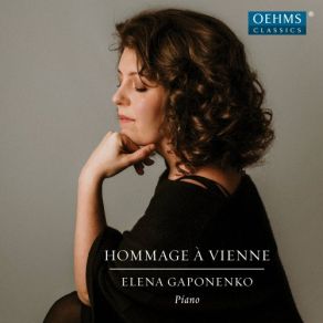 Download track Ungarische Melodie In B Minor, D. 817 Elena Gaponenko