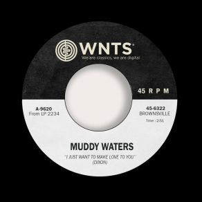 Download track I Can't Be Satisfied Muddy Waters