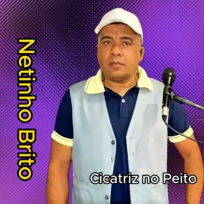 Download track Ex Mulher Netinho Brito