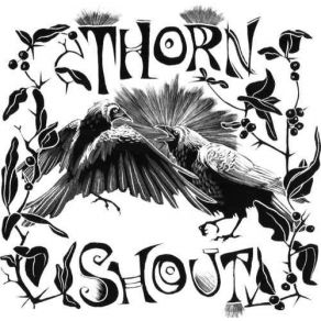 Download track Thorn & Shout Tracey Thorn, The Shout