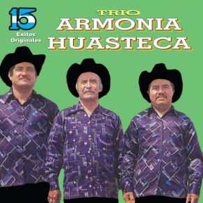 Download track María De Los Ángeles Trío Armonía Husteca