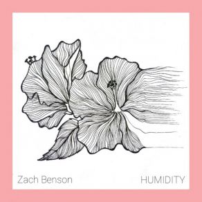 Download track Better Now Zach Benson