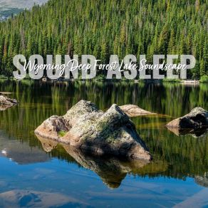 Download track Wyoming Deep Forest Lake Soundscape, Pt. 20 Elijah Wagner