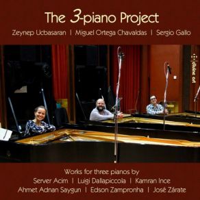 Download track Musica Per Tre Pianoforti: I. Allegro, Molto Sostenuto Zeynep Ucbasaran, Sergio Gallo, Miguel Ortega Chavaldas