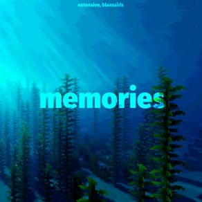 Download track Memories (Slowed) Blaxsaids