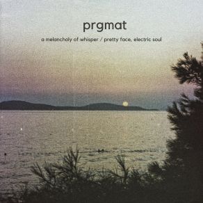 Download track A Melancholy Of Whisper PRGMAT