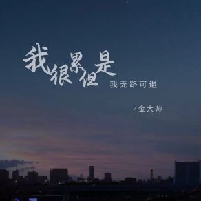 Download track 我很累但是我无路可退 金大帅