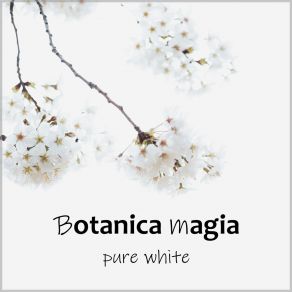 Download track Honey Moon Botanica Magia