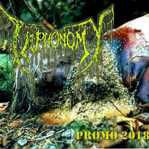 Download track Larva Taphonomy