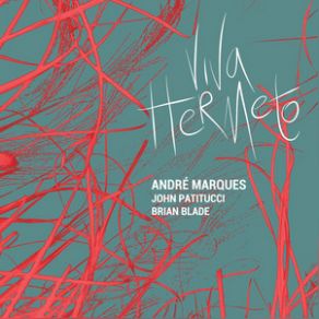 Download track Capivara John Patitucci, Brian Blade, Andre Marques