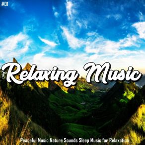 Download track Meditation Entspannende Schwingungen Musica Relajante Dormir