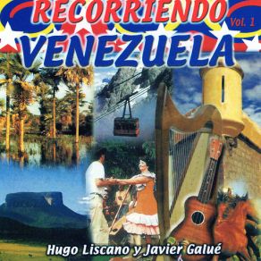 Download track El Cocotero (Instrumental) Hugo Liscano And Javier Galue