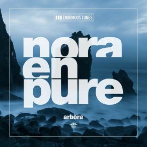 Download track Arbora (Extended Mix) Nora En Pure