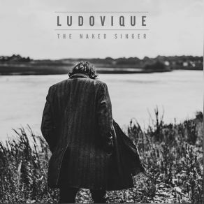 Download track I Want You, But You're Not The Only One Ludovique