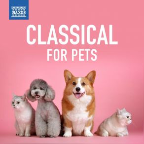 Download track Nocturne No. 5 In B-Flat Major, H 37 Pets